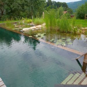 Comment chauffer l’eau d’une piscine naturelle ?